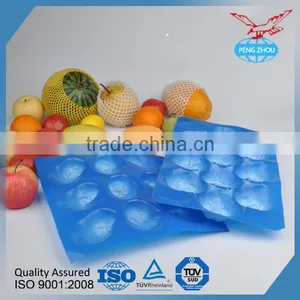 Laizhou Hot Sale 29*49cm Green Disposable PP Fruit Tray thumbnail-1