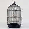 Sell Bird Cage thumbnail-1