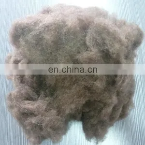 Yak Wool Manufacturer, Dehaired Tibet Yak Wool Brown 19.0mic 26mm thumbnail-4
