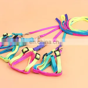 Dog Collar thumbnail-1