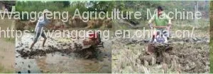 ] Farm Machine and Tools of Tillers and Cultivators thumbnail-4