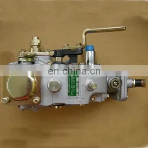 P7100 Injection Pump CPES6P120D120RS7199 Governor CRSV425/1100P7C401R thumbnail-2