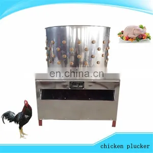 TM-50 Hot Sale Product Poultry Plucker/poultry Feather Plucking Machine/chicken Feather Cleaning Machine in Hot Selling thumbnail-4