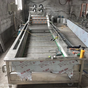 Fruit/vegetable Washing Processing Washing Machine Rate Carrot Washer Machine thumbnail-3