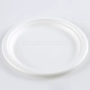 Disposable Biodegradable 9INCH PLATE Take Away Sugarcane thumbnail-4