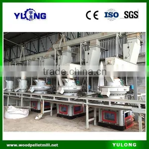 China 2.5-3T/H Biomass Wood Pellet Plant thumbnail-1