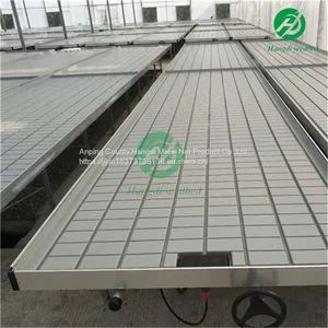 Agricultural Planting Rolling Bench Ebb and Flow Tray Tobacco Seedbed in Greenhouse thumbnail-4