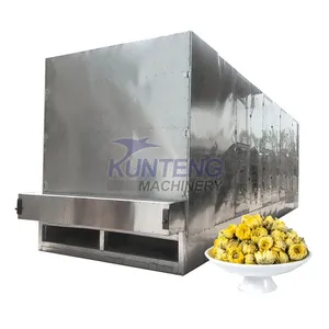 Flower Tea Vegetable and Fruit Drying Machine Agriculture Material Mesh Belt Drying Oven EPC thumbnail-1