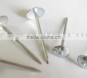 High Quality and Low Price Twisted Shank Roofing Nail With Umbrella Head China Factory thumbnail-4