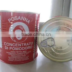800g Cold Break Canned Tomato Paste With Brix 22-28%and Best Price thumbnail-1