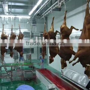Cattle Slaughtering Machine thumbnail-1