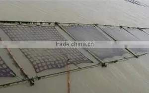 Shanghai EHAO International Trading Co., Ltd. company overview - view 3 thumbnail