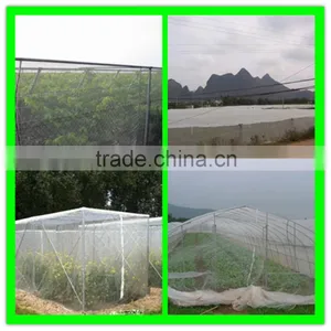 Virgin Hdpe Greenhouse Nursery Anti Insects Mesh thumbnail-4