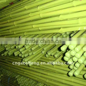 Plastic Coated Bamboo Poles thumbnail-1