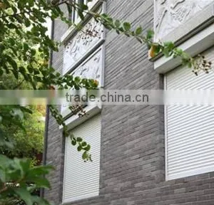 Remote Control Outdoor Roller Shutter,aluminium Materials thumbnail-3