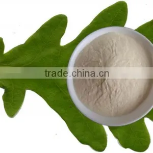 Kosher Fungal Chitosan thumbnail-4