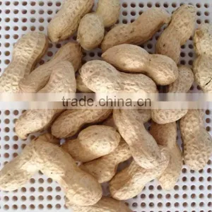 Chinese Peanut Kernels in Shell With High Quality for Sale thumbnail-2
