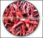 Red Chillies thumbnail-1