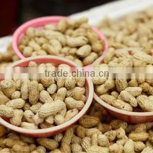 2012 Raw Peanut Packed in Vaccum Bag thumbnail-1