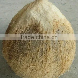 Fresh Coconut thumbnail-1