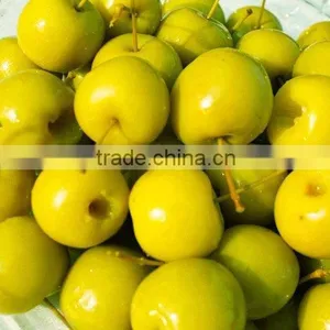Sweet Canned Cherry-Apple thumbnail-1