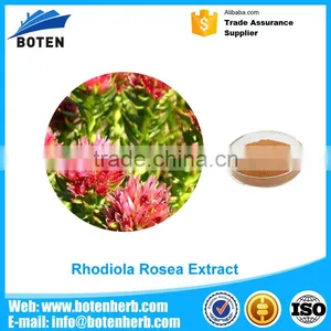 New Design Total Rosavin Rhodiola Rosea for Medical Use thumbnail-1