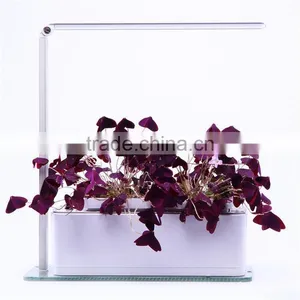 Factory Price Lamp Led Bluetooth thumbnail-1