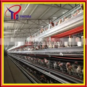 High Quality Design Layer Chicken Cages for Kenya Poultry Farm ( Full Poultry Equipment) thumbnail-2