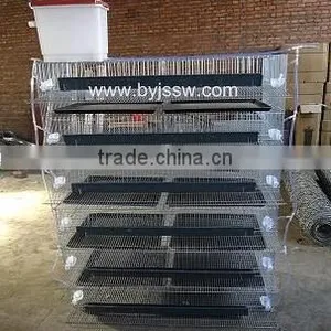 Promotion Layer Quail Cages For Sale Cheap thumbnail-5