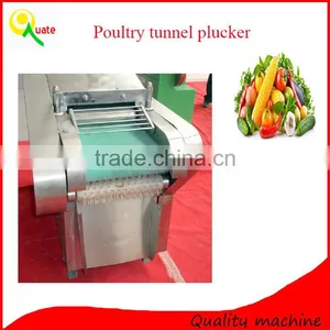 Fruits And Vegetable Processing Equipment, Vegetable Cutter thumbnail-1