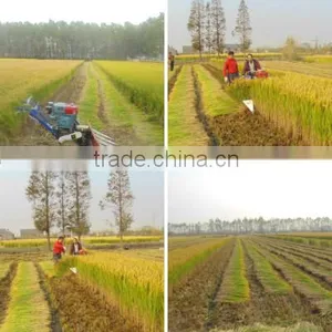 Factory Offer Paddy Reaper thumbnail-5
