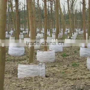 Degradable Pots for Three Nonwoven Plant Grow Bags (1 Gal to 1200 Gal) thumbnail-1