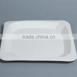 Disposable Compostable 10 Inch Food Trays Square Plates P037 thumbnail-1