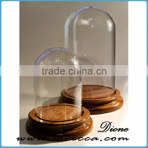 Mouth Blown Modern Decoration Glass Globe Customized Flower Clear Glass Display Dome thumbnail-4