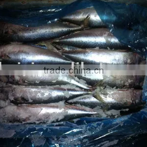 Frozen Mackerel Big Size thumbnail-1