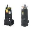 AS25-7-1.5/QG Motor Pump thumbnail-1