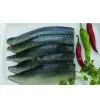 Sell Mackerel Fillets (Without Any Bone) thumbnail-1