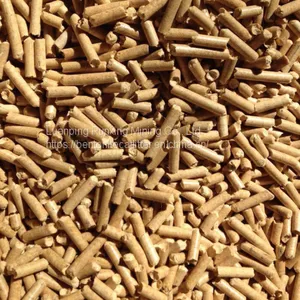 Pine Cat Sand Factory thumbnail-3