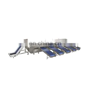 Potato Sorting Machine Fruit and Vegetable Sorting Equipment thumbnail-2