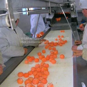Automatic Orange Juice Machine for Citrus Orange Juice Processing Machinery Industrial Citrus Juice Extractor WT/8613824555378 thumbnail-2