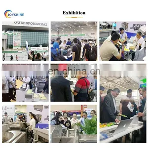 250 Kgs per Hour Automatic Finger Chips Potato Flake Sticks Processing Line thumbnail-5