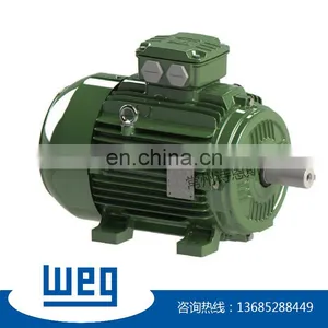 WEG W21 Series IE2 High Efficiency 22kw 3 Phase ac Induction Motor thumbnail-2