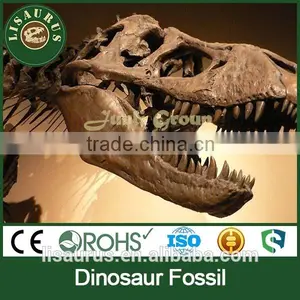 Lisaurus-L0008 Realistic Fossil Watch Exhibition / Show in School and Kindergarnten thumbnail-1