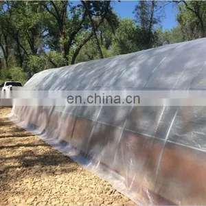 Heavy Duty Clear Greenhouse Grow Cover Plastic Transparent PE Waterproof Tarpaulin Cloth thumbnail-5