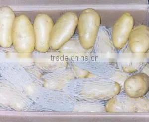 2014 Holland Potato thumbnail-1