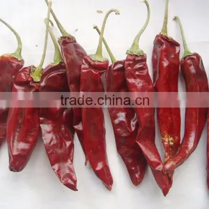 China Exported Dry Red Chilli ,yidu Pepper thumbnail-4