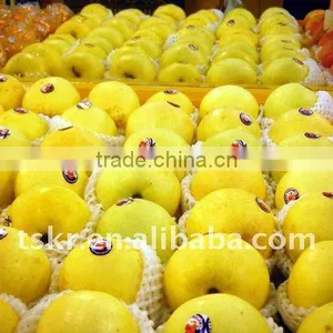Good Quality Golden Delicious Apple thumbnail-1