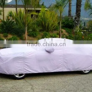 Peva Auto Cover thumbnail-1