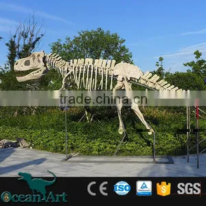 BY-DY-041406 Natural Science and History Museum Dinosaur Skeleton Model thumbnail-1