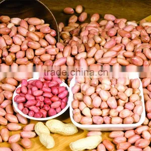 Groundnut thumbnail-1